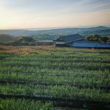 画像をギャラリービューアに読み込む, 葉付き玉ねぎ2kg（予約受付中）1月末から順次発送致します。
