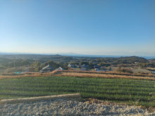 画像をギャラリービューアに読み込む, 葉付き玉ねぎ2kg（予約受付中）1月末から順次発送致します。
